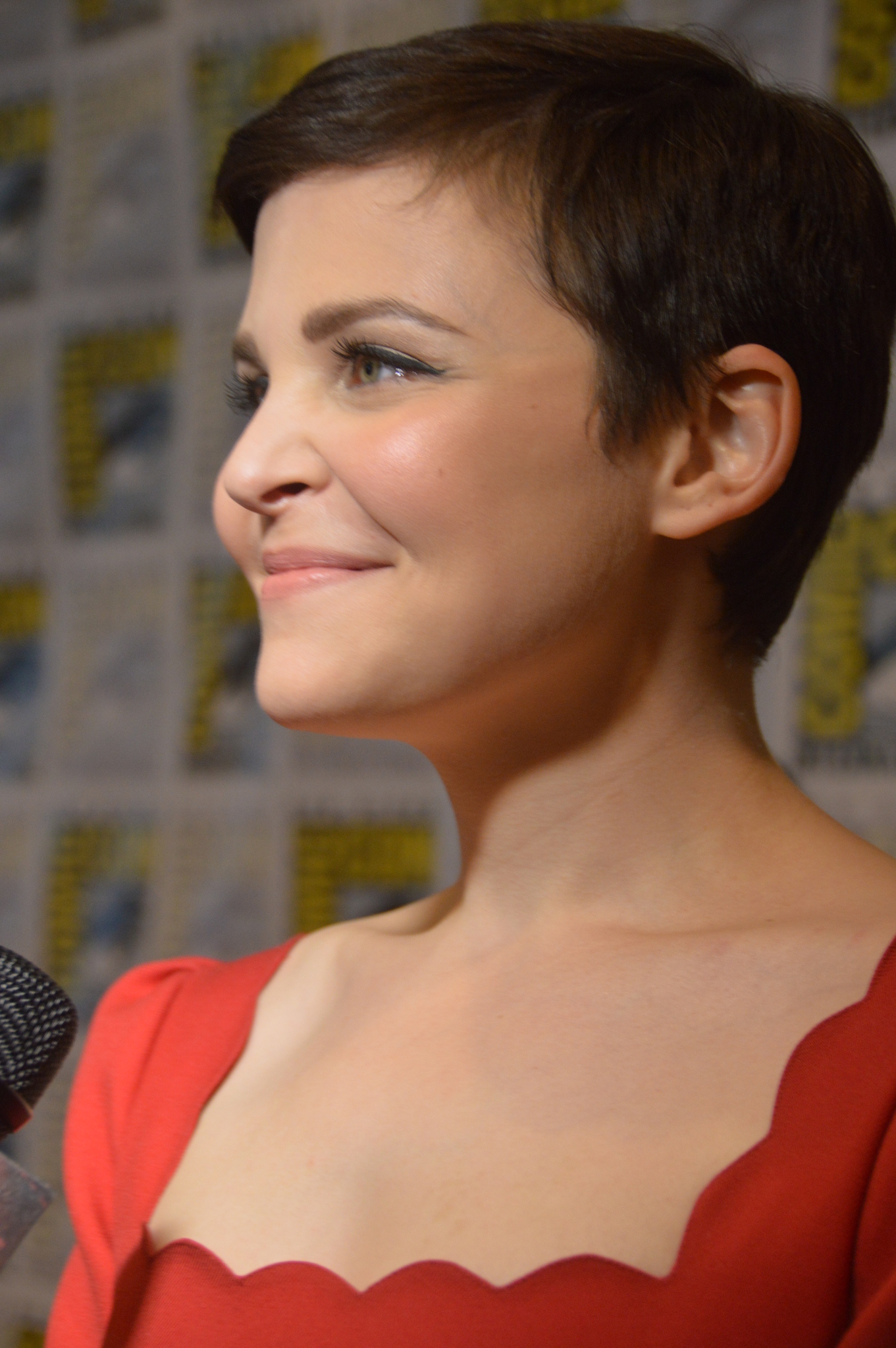 Pictures Of Ginnifer Goodwin